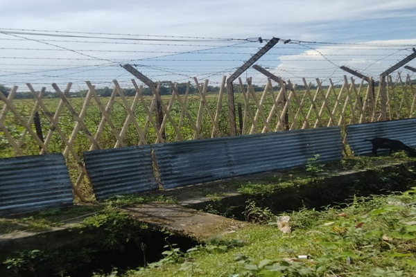 barbed wire border fence on the verge of collapse urgent repairs required-